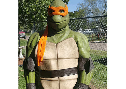 Ninja Turtle Character
